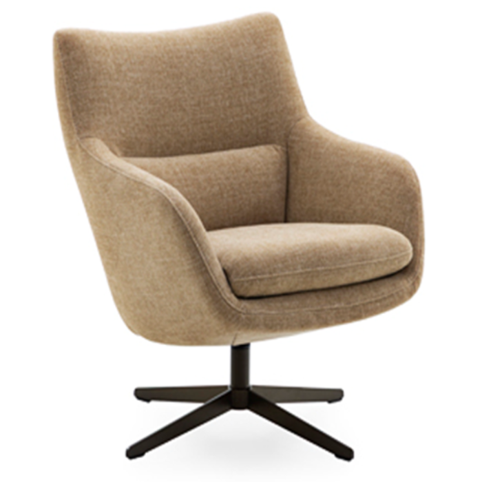 Fauteuil Lion