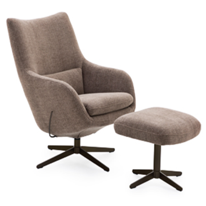 Fauteuil Lion