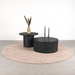 Salontafel_Set_Olivia_Label51_Dealer_Seinen_Nieuwleusen_800x800_27-12-2024_Zwart_Eikenfineer_3