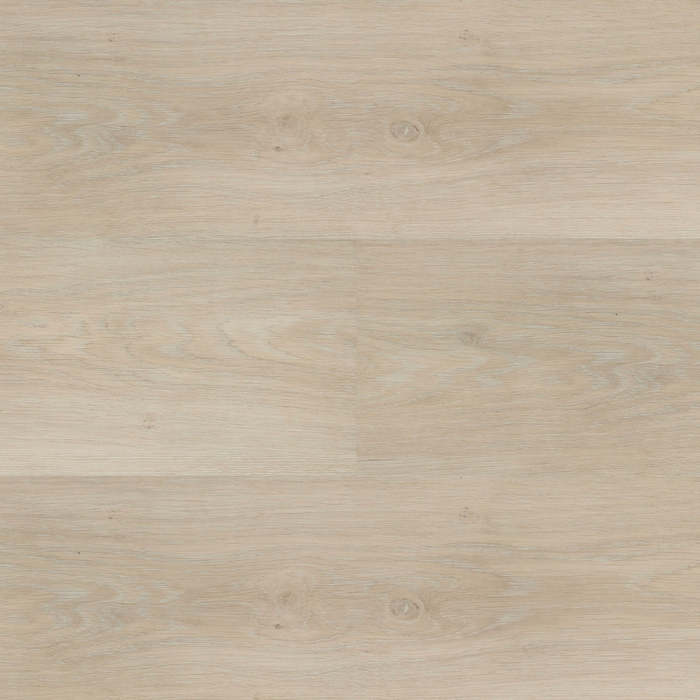 Montinique PVC vloer Chapelle XL Plank bij Seinen Nieuwleusen